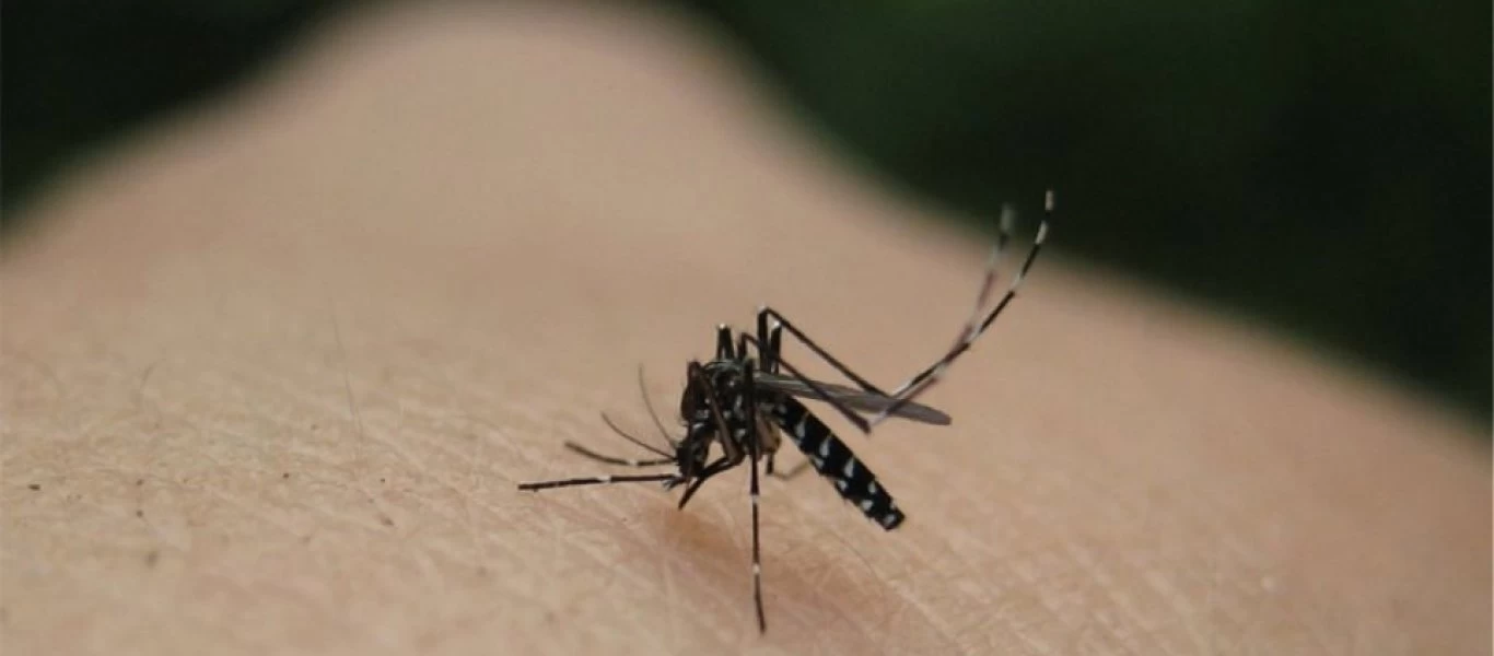 Είναι επικίνδυνος ο ιός του δυτικού Νείλου; - Πως αντιμετωπίζεται